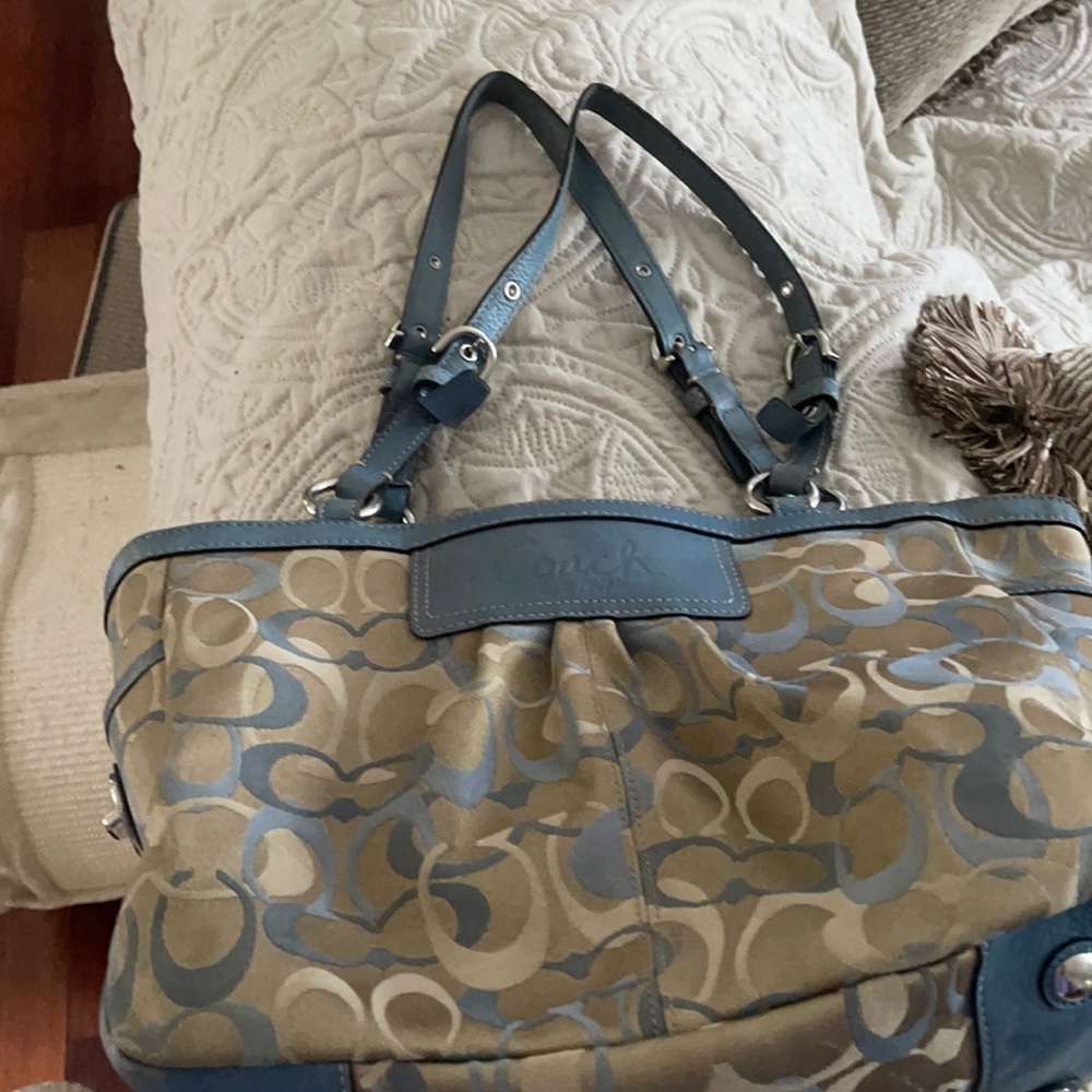 Coach purse, has some stains on the inside. Used